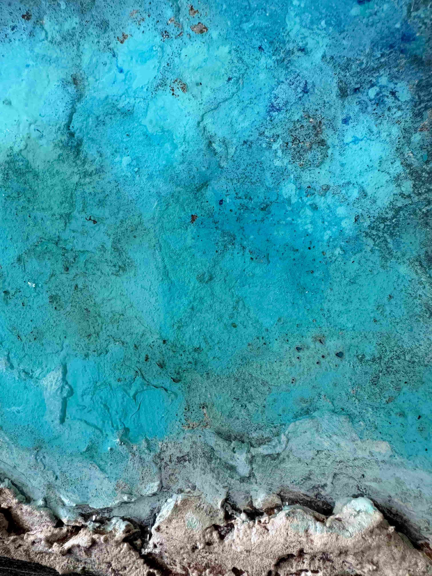 Turquoise Shores
