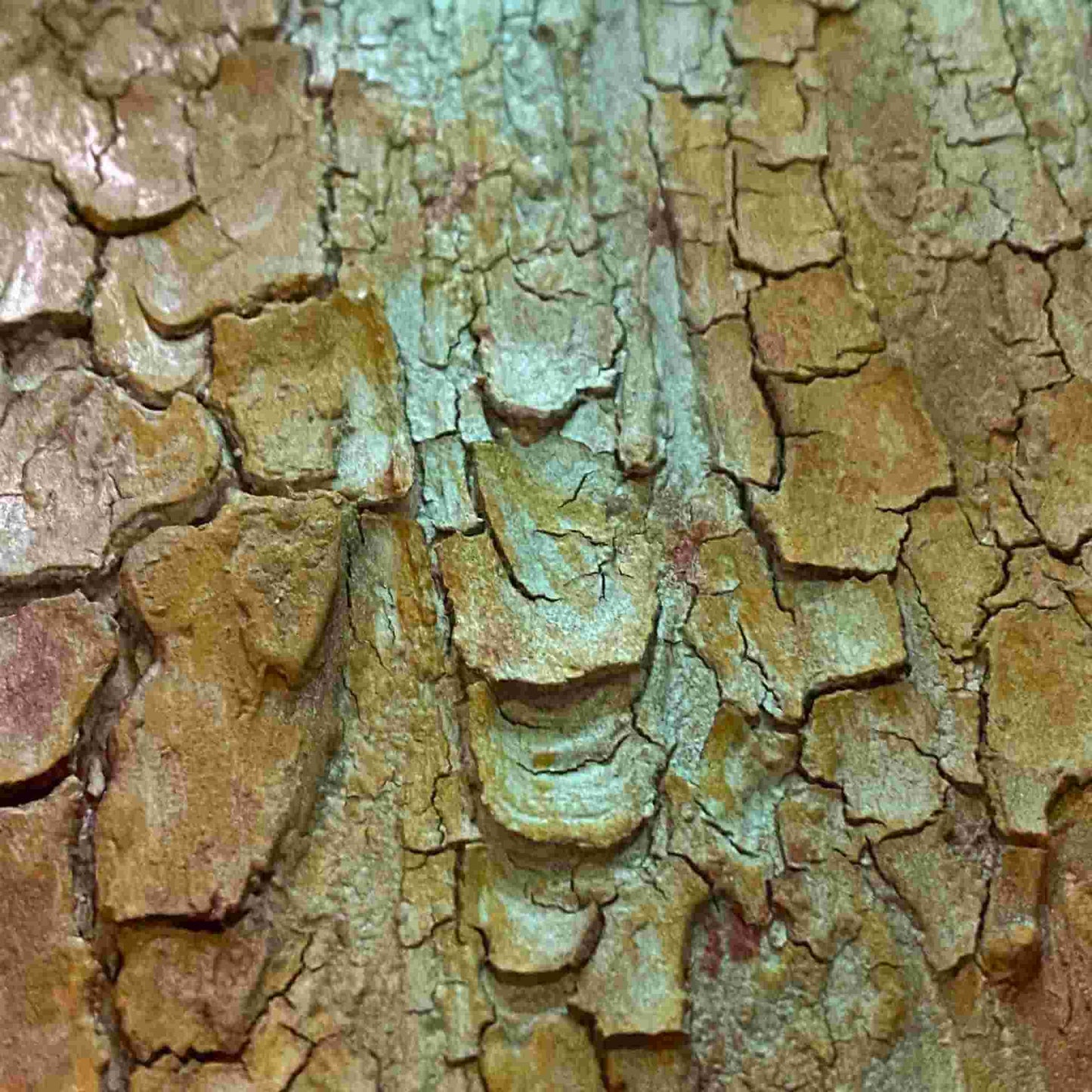 acrylic oil painting on canvas wall art texture crackle mixed media artwork original handmade signed by artist for sale crackled abstract for sale